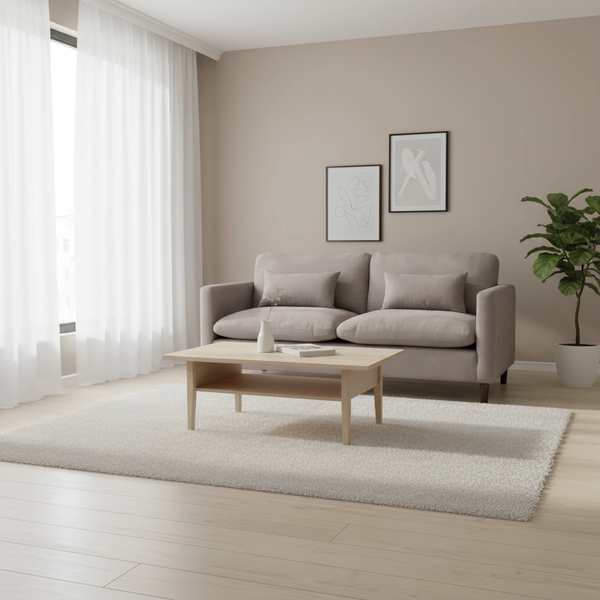 Grey Sofa with Living Room Background 800x800